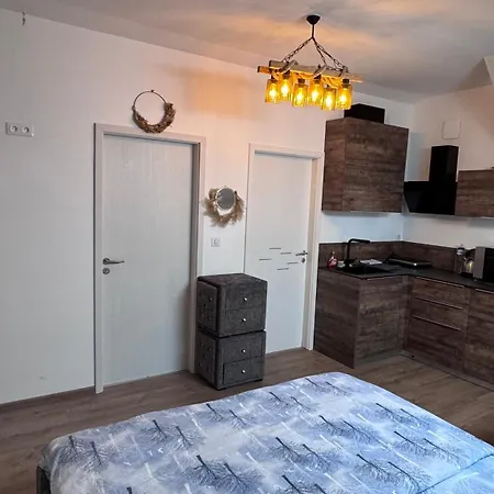 New Appartement Turckheim